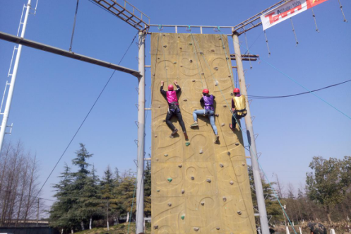 2025新老澳门原料免费大全