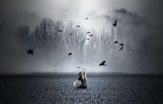 2025新老澳门原料免费大全