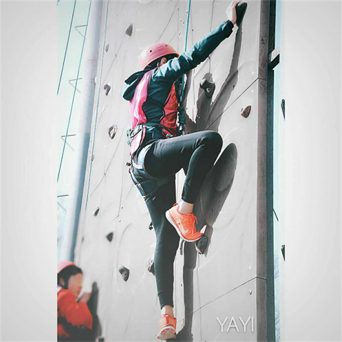 2025新老澳门原料免费大全