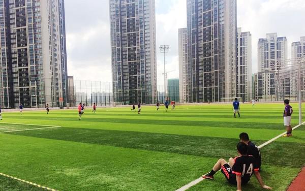 2025新老澳门原料免费大全