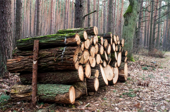 {xunruicms_img_title} {xunruicms_img_title}